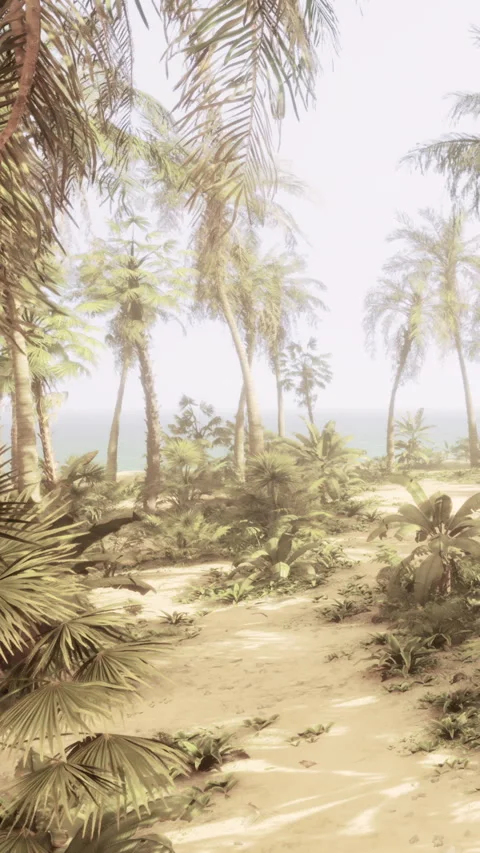 Palm trees surround a sandy path leading to the ocean shore in bright daylight Stock Footage 341969837