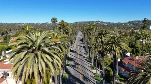 Palm trees, surrounded by lush greenery and bright houses under a clear blue sky 動画素材 306042654