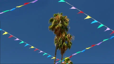 Palm trees surrounded by pennants. Stock Footage 97223168