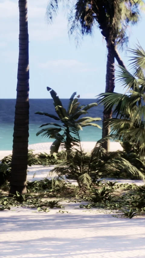 Palm trees sway by the beach with blue ocean in the background during daytime Stock Footage 341256407