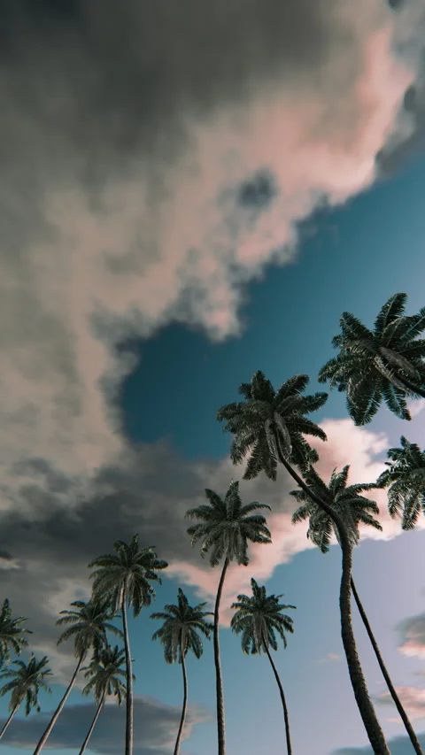 Palm trees sway beneath pastel clouds in a seamless loop Stock Footage 335021760