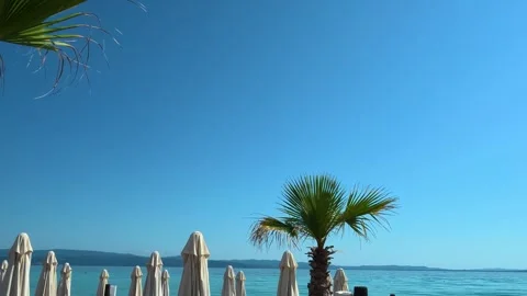 Palm trees sway gently against a clear blue sky. Trani Ammouda, Greece Stock Footage 339611972