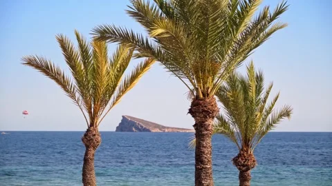Palm trees sway gently against blue sea and distant island with para-sailer. Stock Footage 339754431