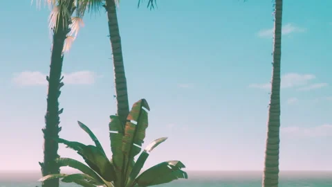 Palm Trees Sway Gently Under a Bright Blue Sky, Creating a Serene Coastal Vibe Stock Footage 348113634