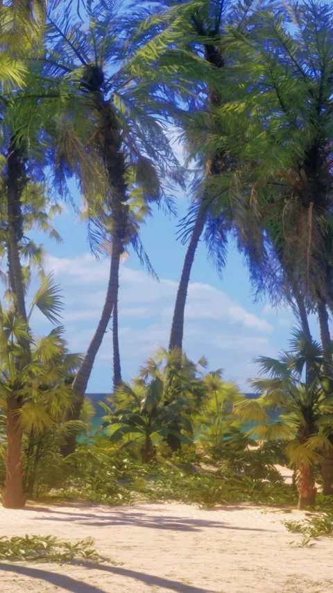 Palm trees sway under a blue sky at a beach location with sandy ground Stock Footage 340272189