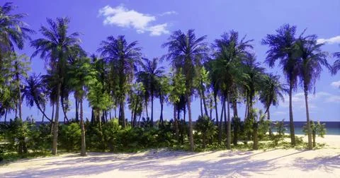 Palm trees sway under a bright sky at a serene tropical beach location Stock Illustration