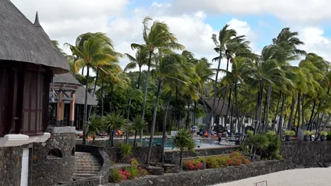 Palm trees swaying above the pool 스톡 동영상 315340766