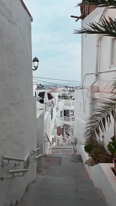 Palm trees swaying gracefully above charming white buildings in a sunlit stre Stock Footage 294276751