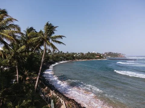 Palm trees swaying on the idyllic coast of Bandaramulla, Sri Lanka Stock-Fotos