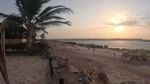 Palm trees swaying speedly with beach house structure behind in breezy evening Stock Footage 295091836