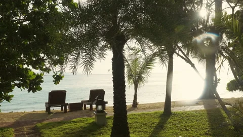 Palm trees on Thailand with an empty sandy beach with sun beds on sunrise Stock-Footage 236413534