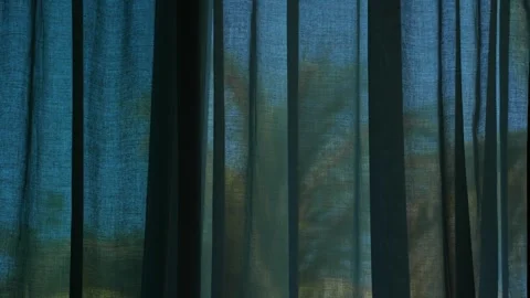 Palm Trees Through Curtains Stock Footage 306016465
