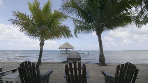 Palm trees tilt down to the beach chairs in Belize Vídeos de archivo 246196050