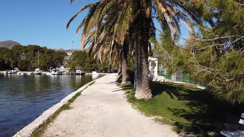 Palm trees in Trogir Video stock 102521697