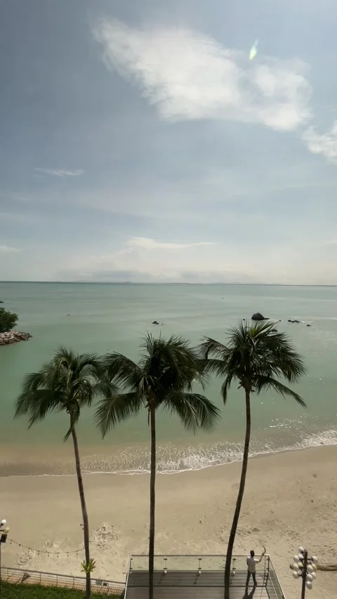 Palm trees on a tropical beach in George Town, Penang Stock Footage 337172462
