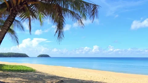 Palm trees on the tropical beach of Phuket, Thailand Vídeo Stock 164203347