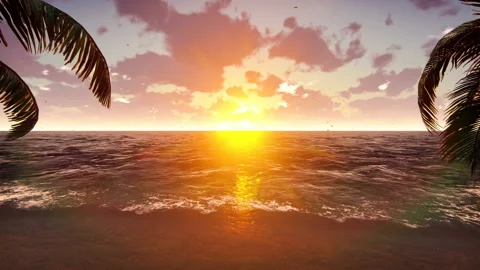 Palm trees on a tropical island with blue sea and Beautiful beach on a sunset Stock Footage