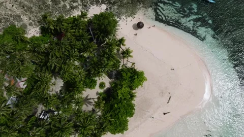Palm trees on tropical island with sandy beach. Siargao, Philippines. Stock Footage 322706568