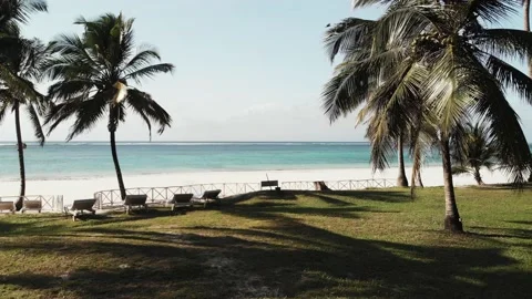 Palm trees of the tropical sandy Diani Beach, Kenya Stock Footage 232718256