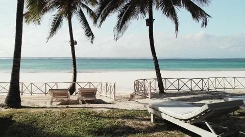 Palm trees of the tropical sandy Diani Beach, Kenya Stock Footage 232718271