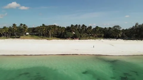 Palm trees of the tropical sandy Diani Beach, Kenya Stock Footage 232719091