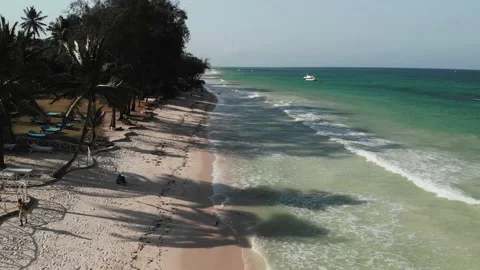 Palm trees of the tropical sandy Diani Beach, Kenya Stock Footage 232719275