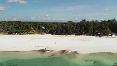 Palm trees of the tropical sandy Diani Beach, Kenya Stock Footage 232719427