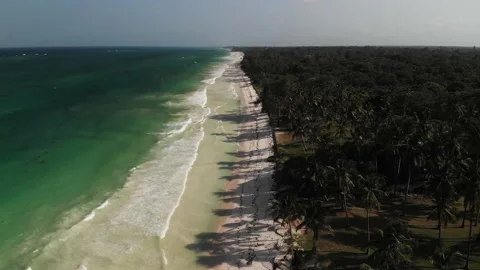 Palm trees of the tropical sandy Diani Beach, Kenya Stock Footage 232719557