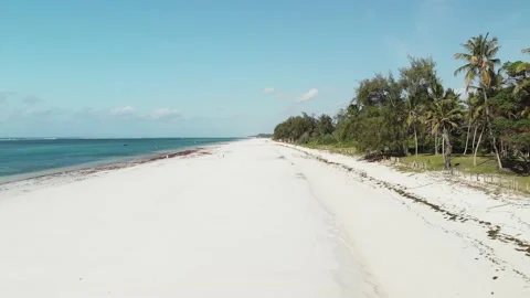 Palm trees of the tropical sandy Diani Beach, Kenya Video stock 232719815