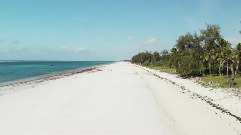 Palm trees of the tropical sandy Diani Beach, Kenya Video stock 232720345