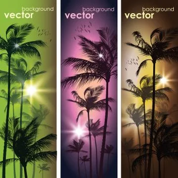 Palm trees at tropical sunset Stock Illustration