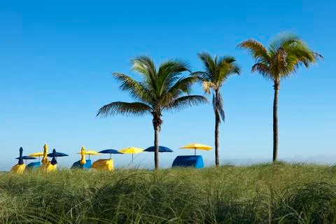 Palm trees with umbrellas Stock Photos