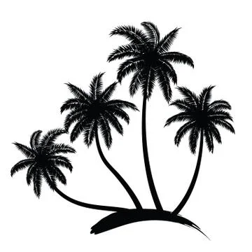Palm trees vector Stock Illustration