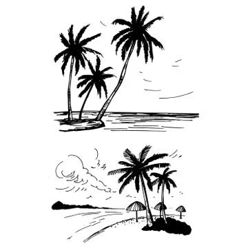 Palm trees. Vector sketch  illustration. Stock Illustration