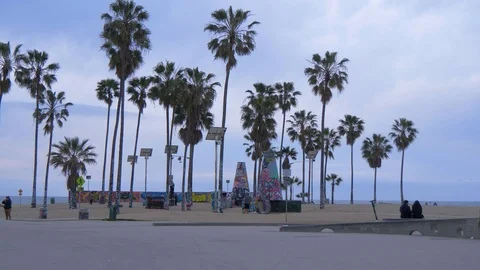 Palm trees at Venice Beach oceanfront - CALIFORNIA, USA - MARCH 18, 2019 動画素材 105984262