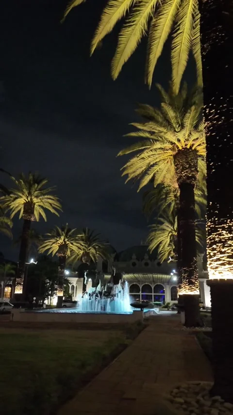 Palm trees vertical Stock Footage 289072360