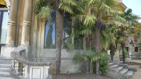 Palm trees very close to the facade of the building 库存影片 133201789