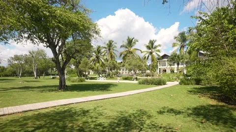 Palm trees, vintage effect. Luxery rest in paradise place Stock Footage 166342802