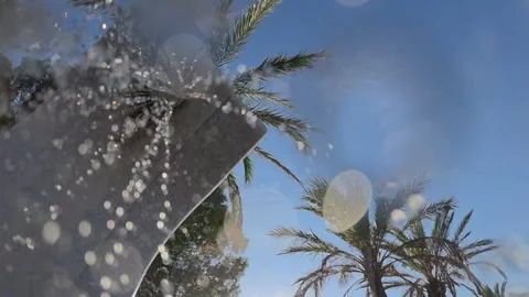 Palm trees visible through a wet surface with water drops and abstract bokeh Stock Footage 339821784