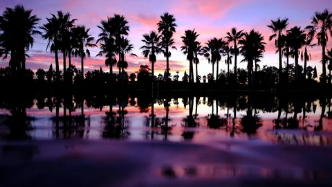 Palm trees with the water reflection sunset Stock Footage 128641960
