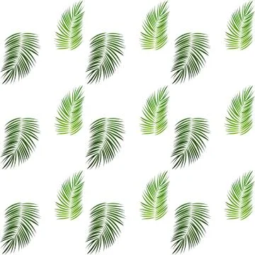 Palm Trees on White Background. Seamless pattern. Vector Illustration Illustrazione stock