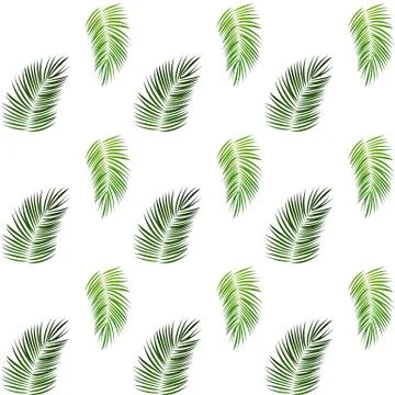 Palm Trees on White Background. Seamless pattern. Vector Illustration 스톡 일러스트