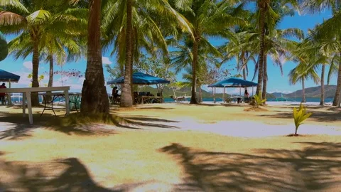 Palm trees on the white sand beach in tropical island in Palawan, Philippines Stock Footage 116045923