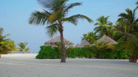 Palm trees on white sandy beach, tropical resort Stock Footage 125635228