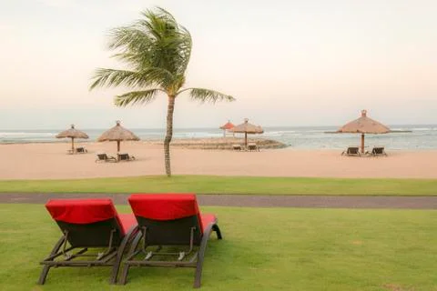 Palm trees on white sandy beach, two red sunbed. View of nice tropical beach. Stock Photos