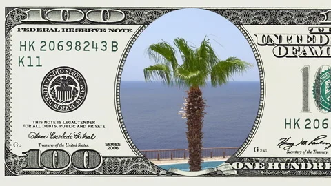 Palm trees on the wind in frame of 100 dollar bill Stock Footage 97198820