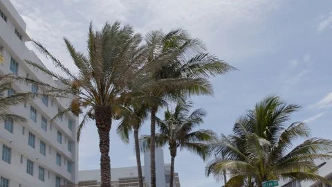 Palm trees in the wind next to art deco building Stock Footage 124230248