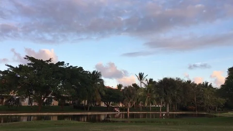 Palm tropic evening Stock Footage 101651068