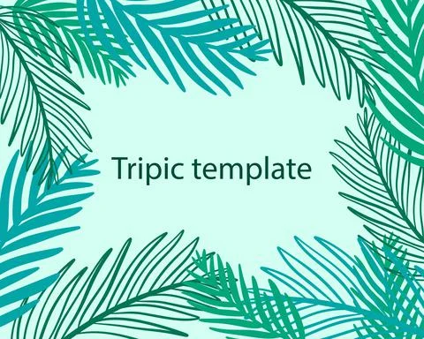 Palm tropical template, vector illustration. Stock Illustration