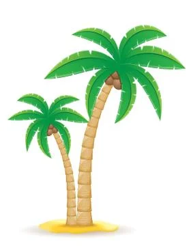 Palm tropical tree vector illustration Stock Illustration